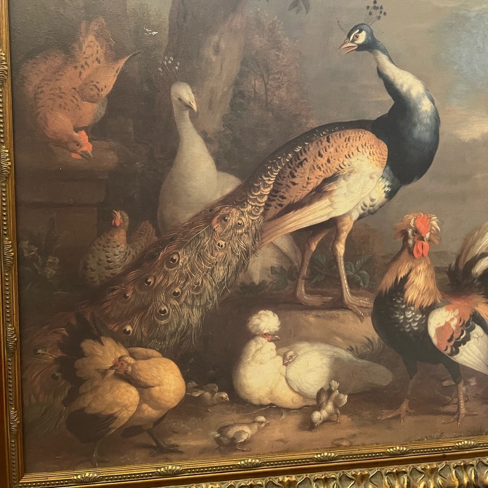 Framed Print on Canvas, Birds